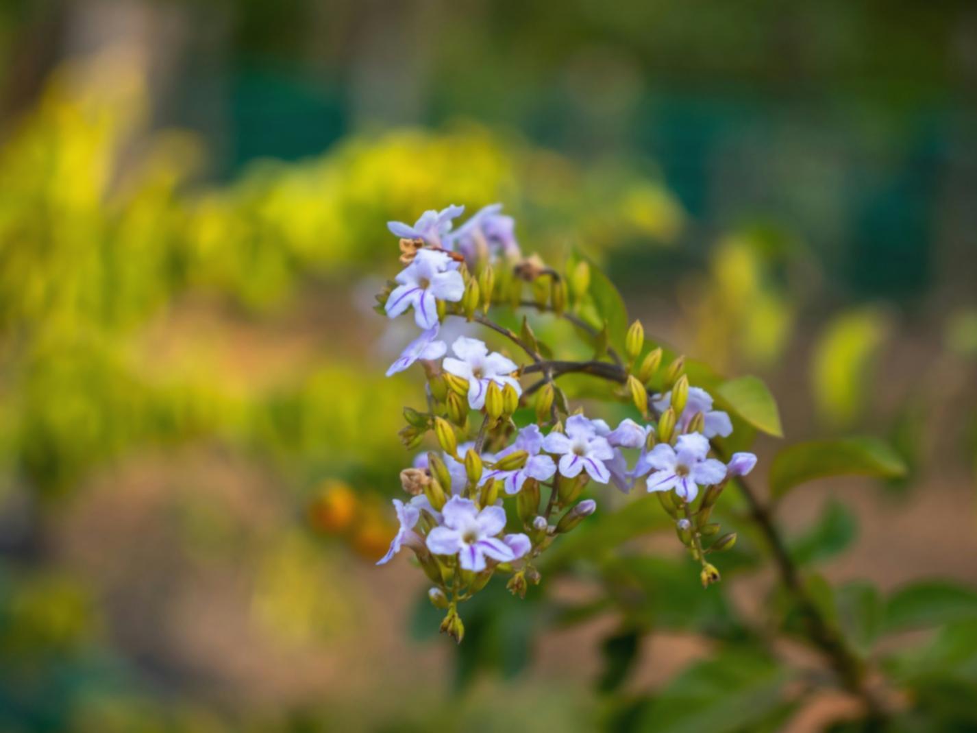 Biuro floristikos konsultacijų aplinka